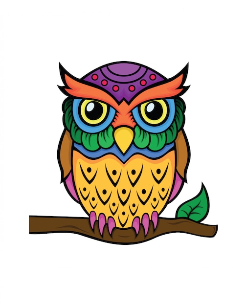 Colorful owl design