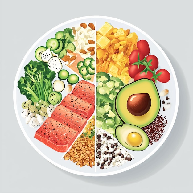 Vector colorful plate of balanced diet with vegetables nuts seeds protein legumes dairy and avocado