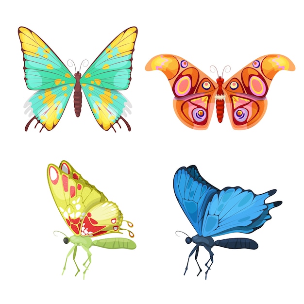 Colorful Tropical Butterflies Insect Set. 