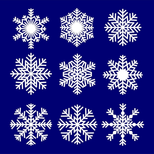 Common Snowflake Vector Collection