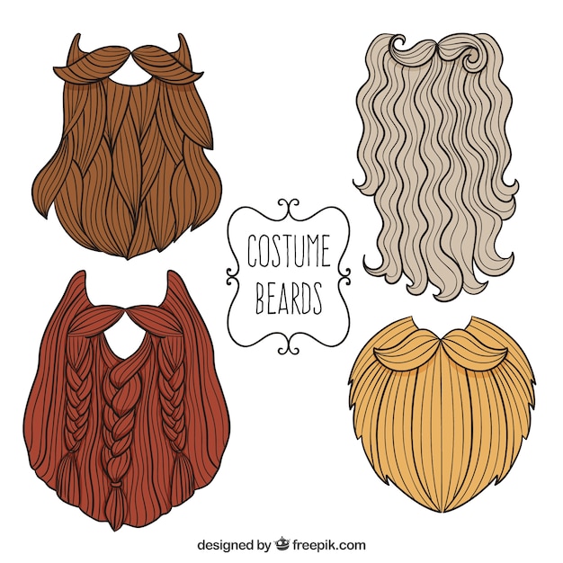 Costume beard set