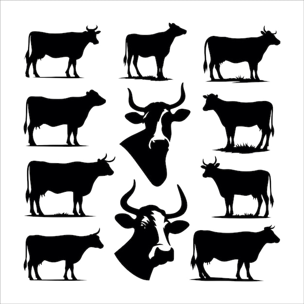 Vector cow silhouettes vector on white background