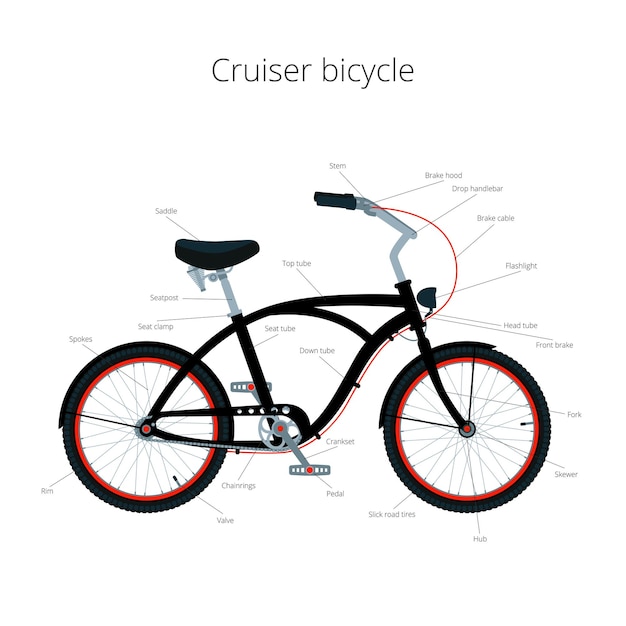 Cruiser bicycle infographic elements and parts.