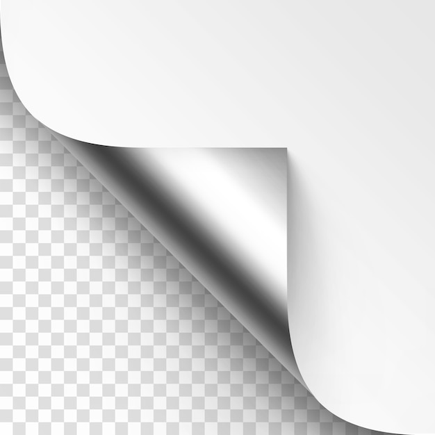 Vector curled silver metalic corner of white paper with shadow mock up close up isolated on transparent background