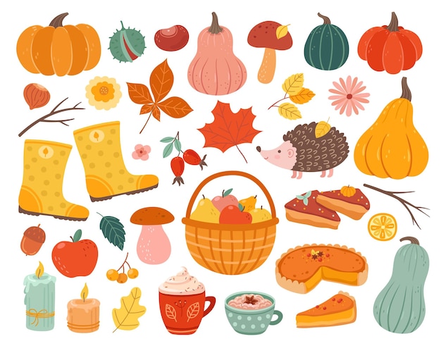 Cute autumn elements. Fall pumpkin, hedgehog november forest leaves. Thanksgiving and harvest season, cozy decoration vector illustration. Autumn pumpkin forest, collection of mushroom