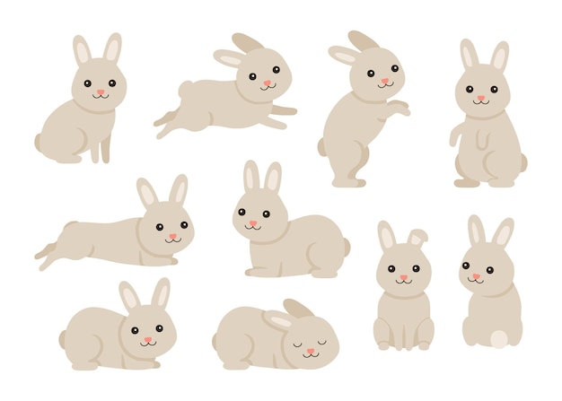 Cute baby rabbit or hare pet set for Easter in different poses Animal bunny in cartoon style