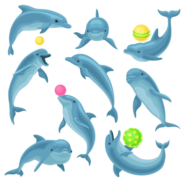 Cute blue dolphins set, dolphin jumping and performings tricks with ball for entertainment show  Illustration on a white background