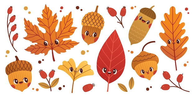 Vector cute cartoon leaves and acorns vector illustration oak acorn tree leaves nature print