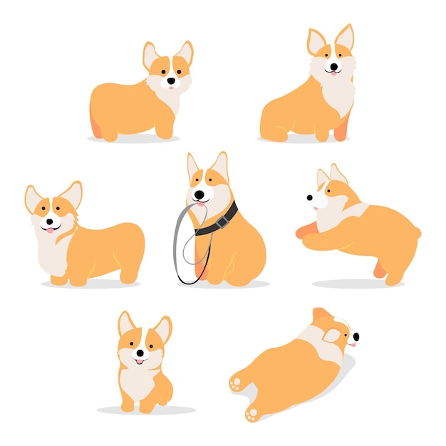 Vector cute corgi puppies isolated on white backgound premium vector