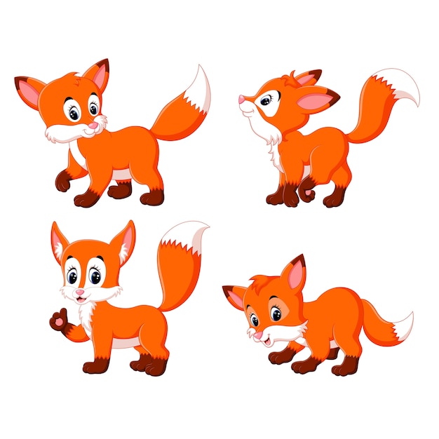 Cute fox cartoon set collection