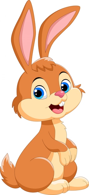 Cute rabbit cartoon