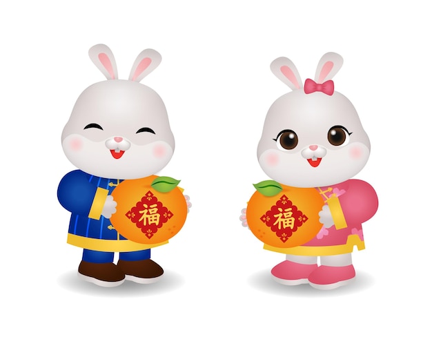 Cute rabbit couple holding orange clipart