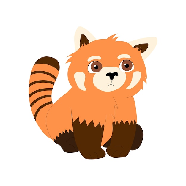 Cute red panda isolated on white background