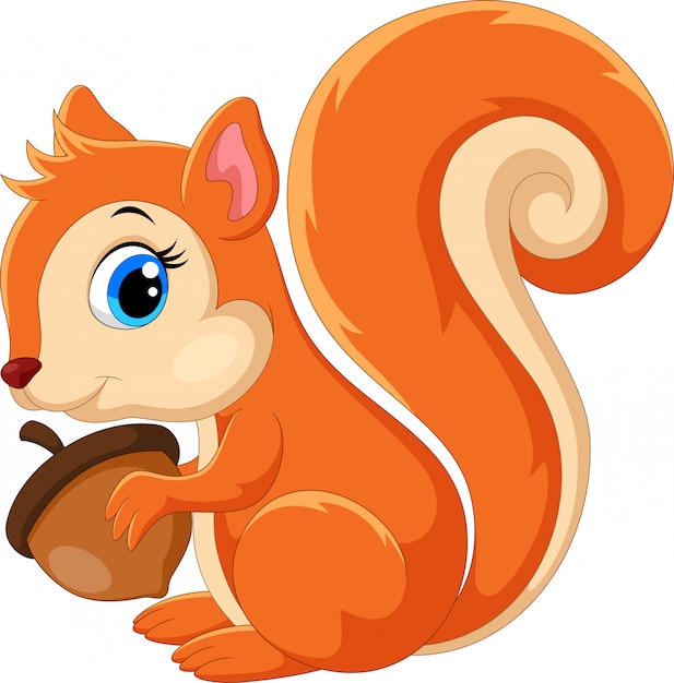 Cute squirrel cartoon