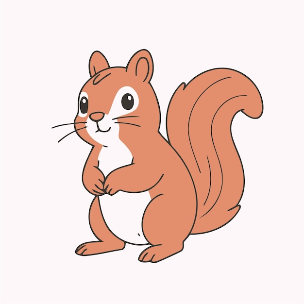 Vector cute squirrel vector illustration for kids story book