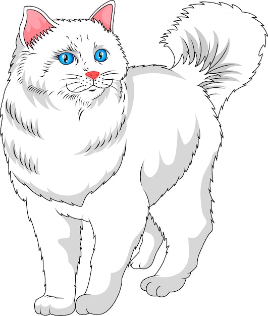 cute white cat cartoon 