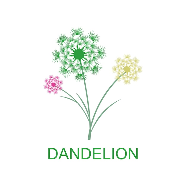 Dandelion flower logo vector and symbol template