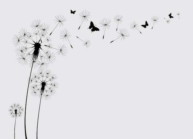 Dandelion with flying butterflies and seeds vector illustration Vector isolated decoration element