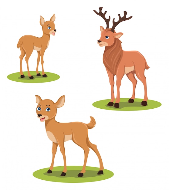 Deer And Stag Illustration