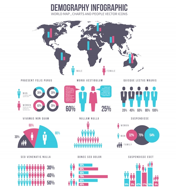 Vector demography infographic