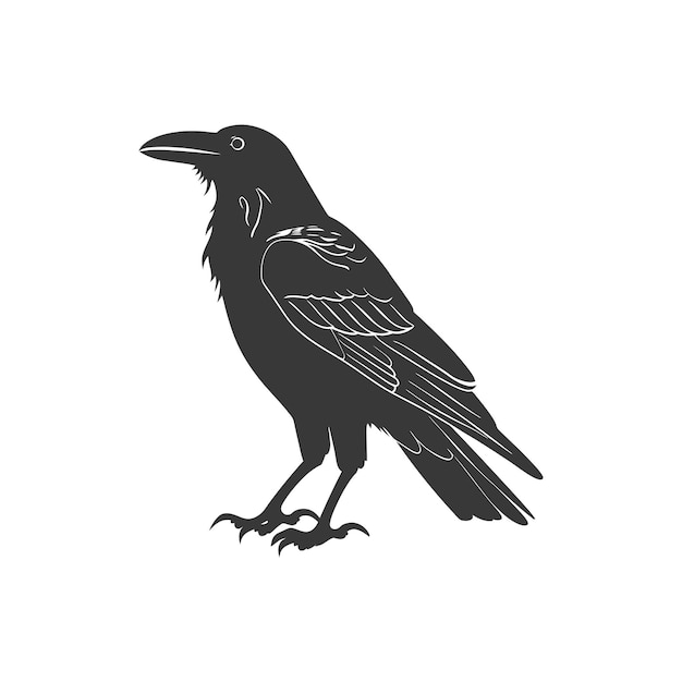 Vector a detailed black and white silhouette of a raven