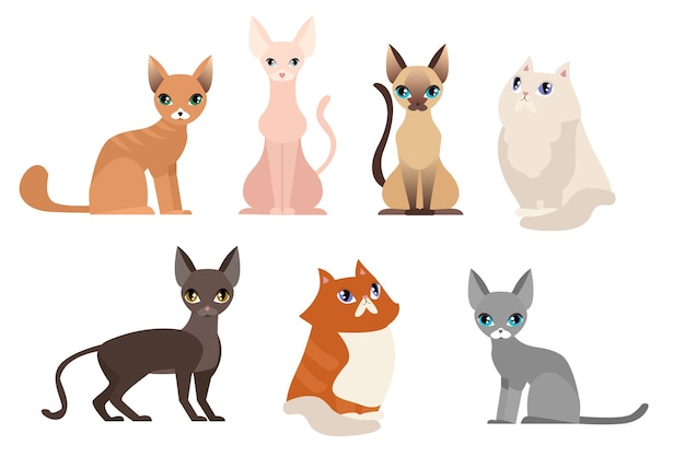 different cat breeds, cute pet animal, different cats in cartoon flat style.