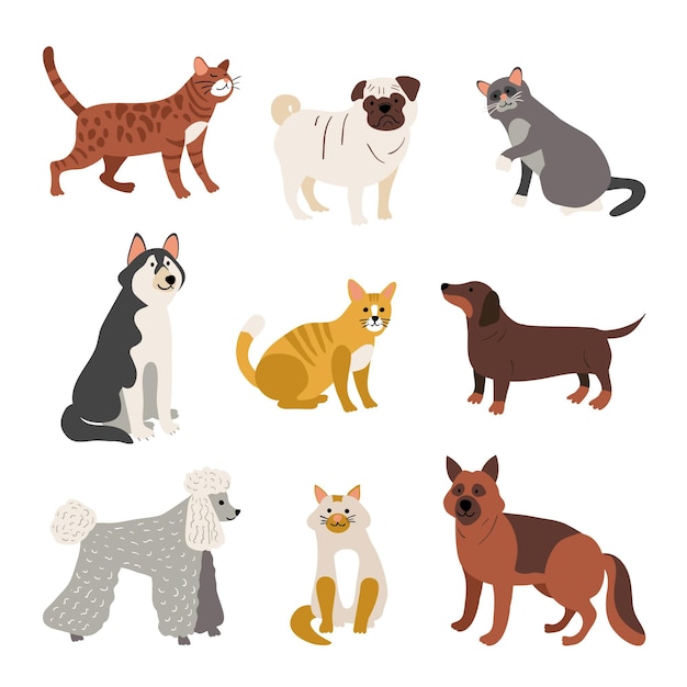 Vector different pets assortment