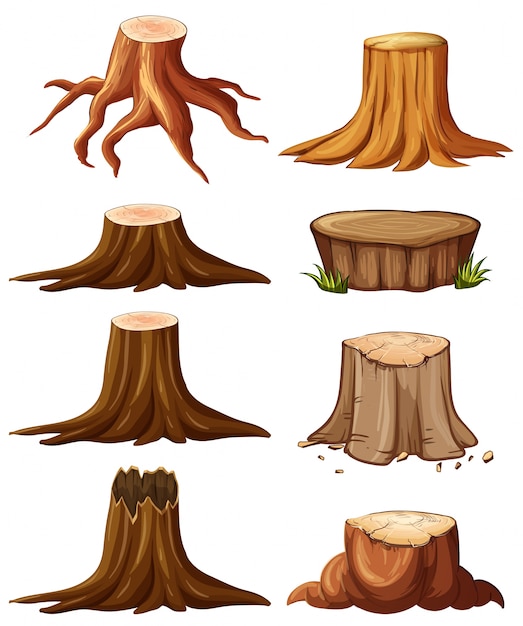 Different types of stumps illustration