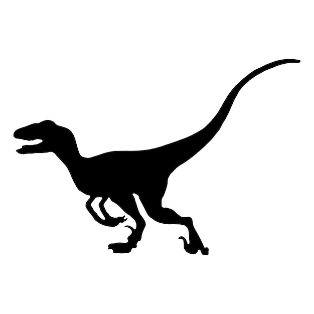 dinosaur raptor silhouette black isolated with white background