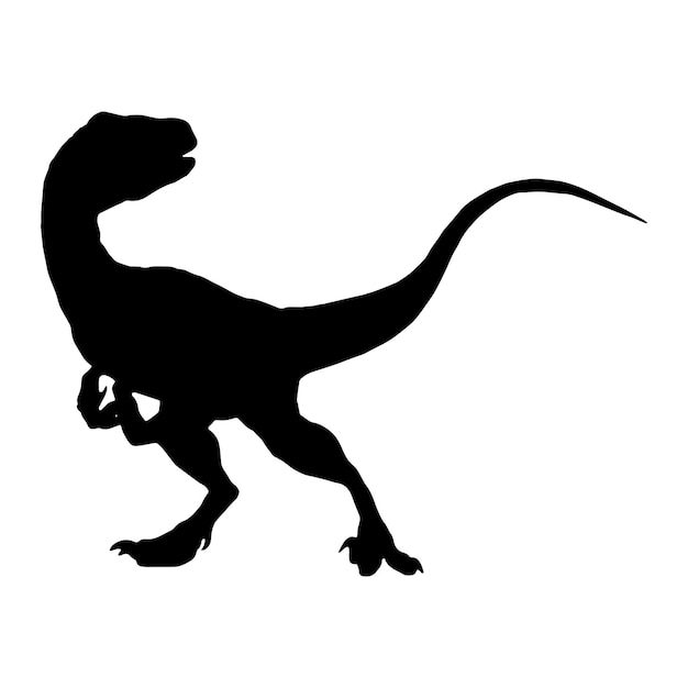 dinosaur raptor silhouette black isolated with white background