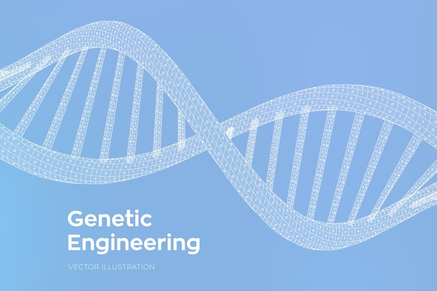 DNA sequence. Concept binary code human genome. Wireframe digital DNA molecules structure mesh. Artifical intelegence DNA code editable template. Science and Technology concept. Vector illustration.