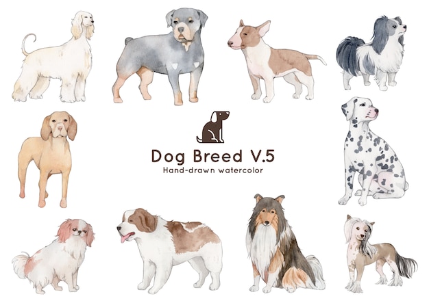 Dog breed watercolor illustration