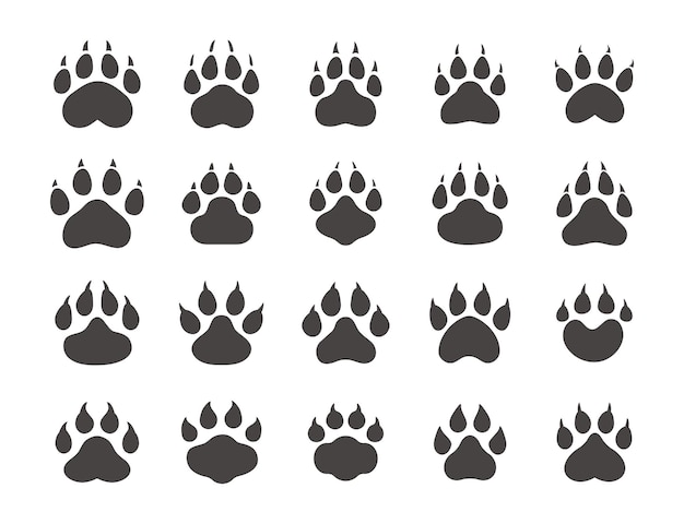 Dog and cat paws with sharp claws cute animal footprints