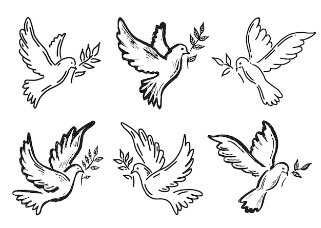 Dove of peace hand drawn illustration