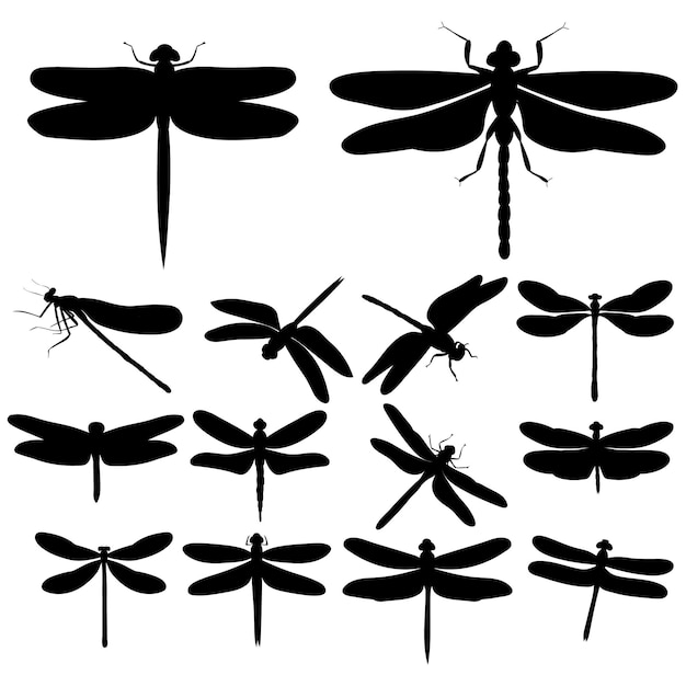 Dragonfly silhouettes insects on white background