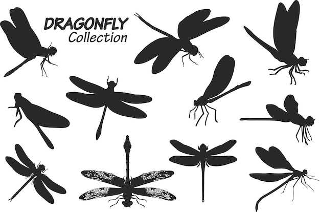 Dragonfly silhouettes