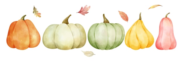 Draw pastel pumpkin for fall Autumn harvest Watercolor style