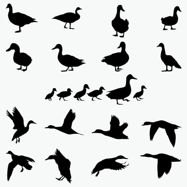 Duck Silhouettes