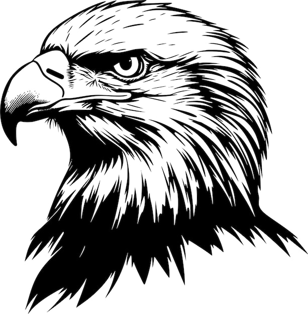 Eagle vector black and white