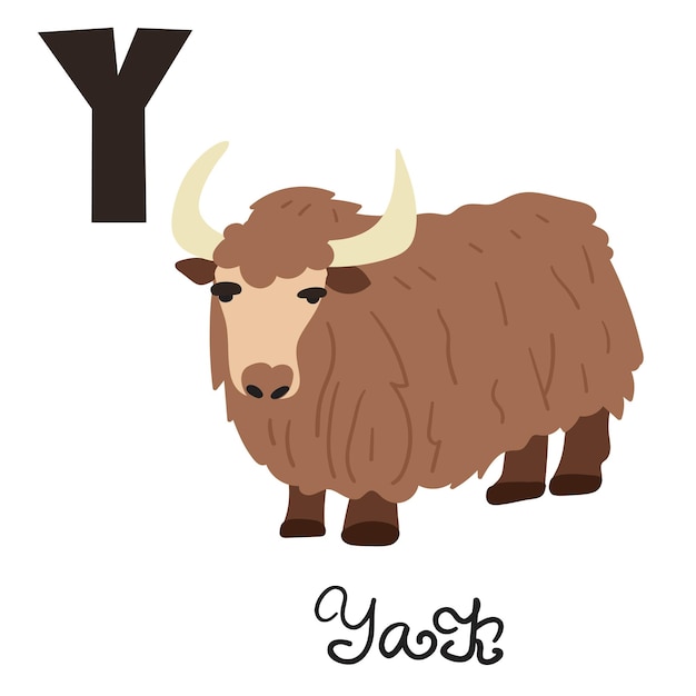 Vector educational concept. yak. animal with letter y. flat hand drawn illustration on white background.