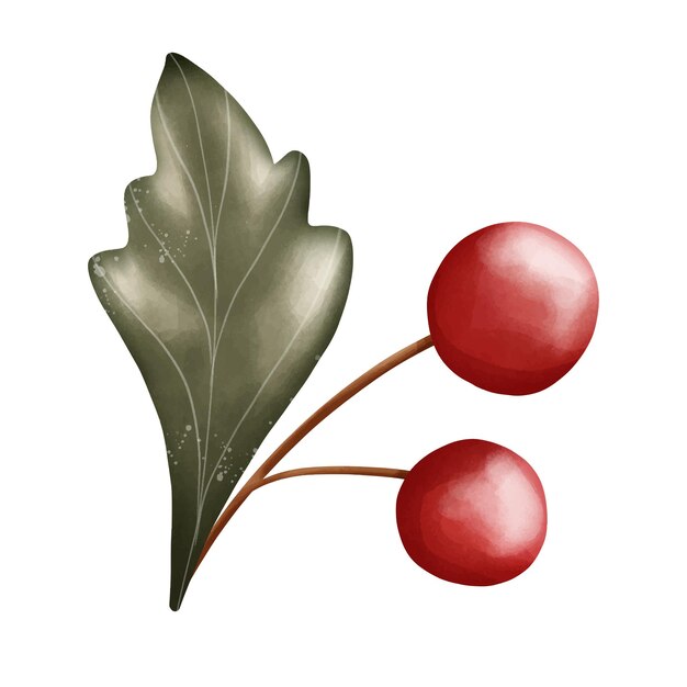 Vector een tekening van een plant met bladeren en het woord pomegra erop