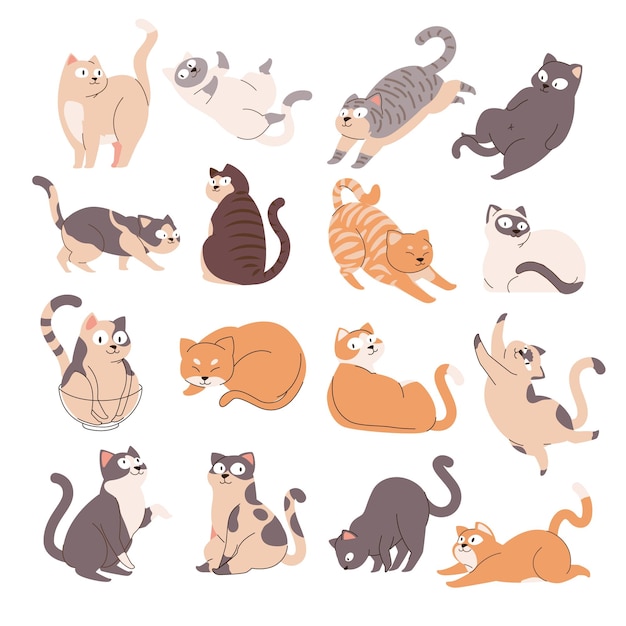 Een verzameling schattige katten met verschillende poses Gebaar Wereld Cartoon kat of kitten karakters ontwerp