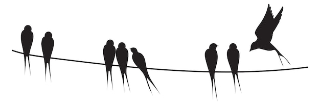 Electric wire with sitting bird silhouettes Black wild fauna