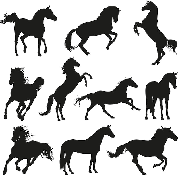 Vector elegant horses silhouette collection