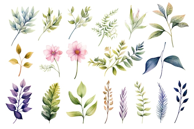 Vector elegant watercolor leaves and flowers clipart