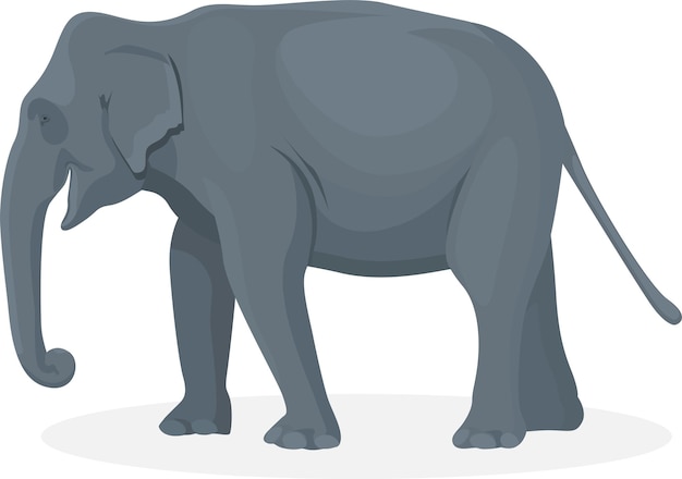 Elephant walking illustration, Big animals,