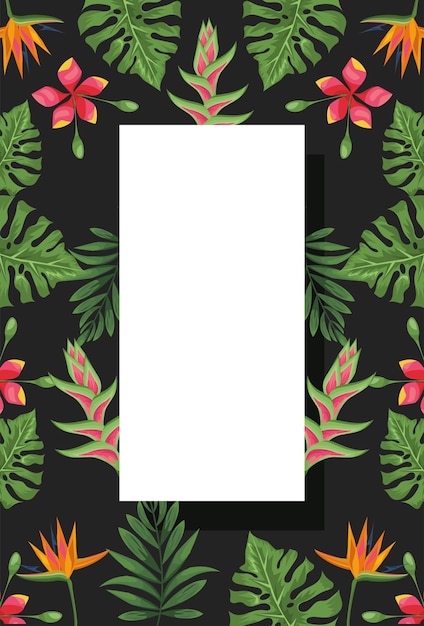 Exotic plants rectangle frame