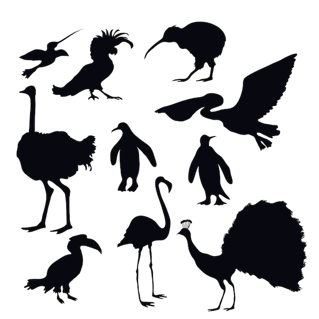 Exotische vogels silhouetten