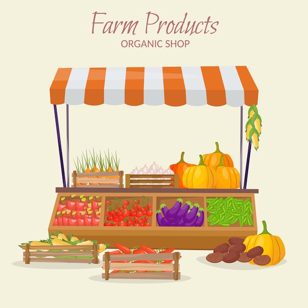 Vector farm market fruit shop infographic elements. modern flat style fresh vegetables on  illustration.