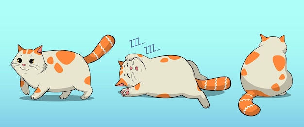 Fat Cat Poses